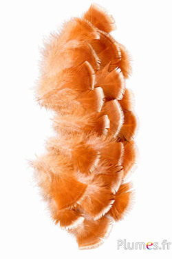 Bronzetruthahn - gebleicht - 7-11 cm - creme-golden